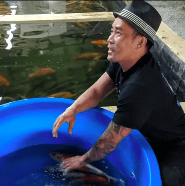 Alex Nguyen — Founder of Kyodai Koi
